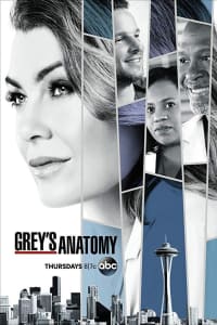 Greys Anatomy - Season 15