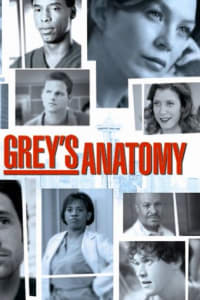 Greys Anatomy - Season 2