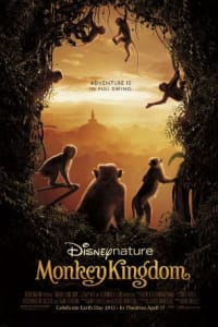 Monkey Kingdom 2015