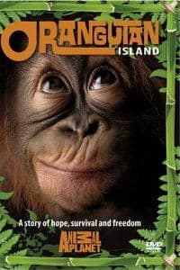 Orangutan Island - Season 1