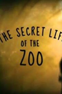 Secret Life of the Zoo - Season 6