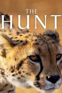 The Hunt - Season 1