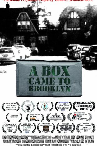 A Box Came To Brooklyn