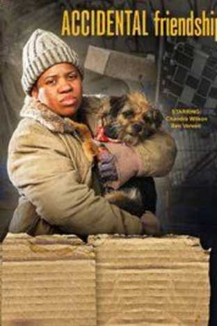 Accidental Friendship