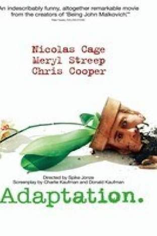 Adaptation