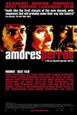 Amores Perros