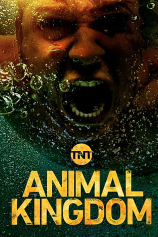 Animal Kingdom - Season 3