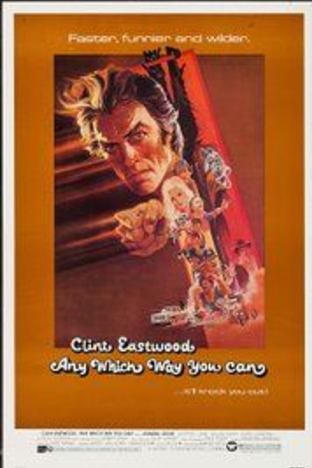 Any Which Way You Can