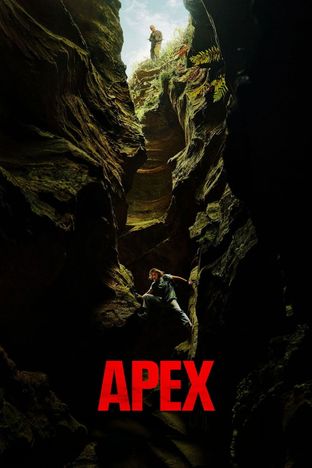 Apex