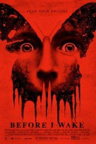 Before I Wake