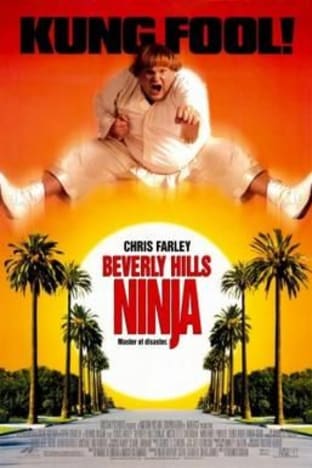Beverly Hills Ninja