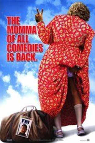 Big Momma's House 2