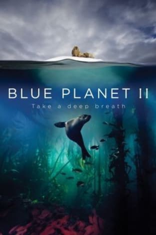 Blue Planet II - Season 01