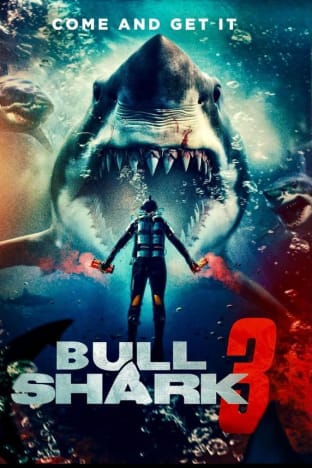 Bull Shark 3