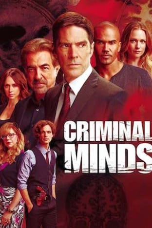 Criminal Minds - Season 8