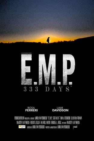 EMP 333 Days
