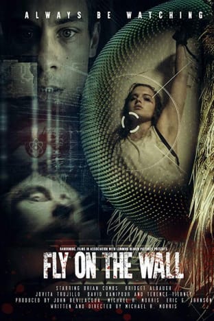 Fly On The Wall