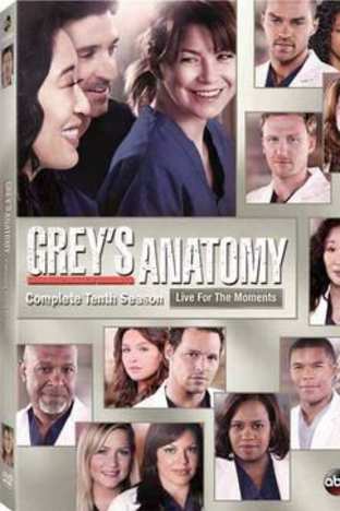 Greys Anatomy - Season 10