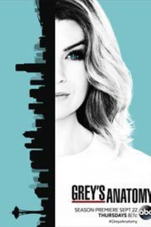 Greys Anatomy - Season 13