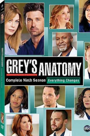 Greys Anatomy - Season 9