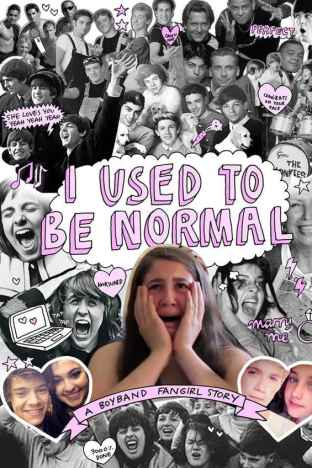 I Used to Be Normal: A Boyband Fangirl Story