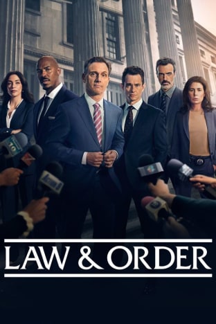Law & Order - Season 25