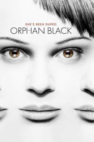 Orphan Black - Season 1