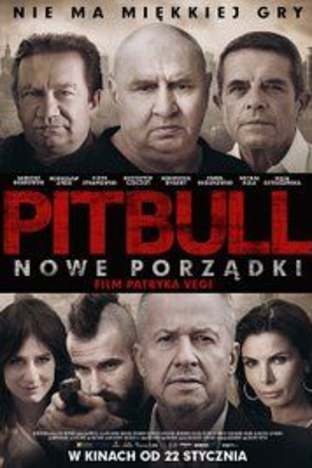 Pitbull New orders