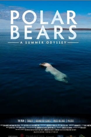 Polar Bears: A Summer Odyssey