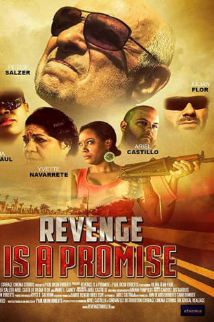 Revenge is a Promise
