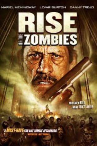 Rise Of The Zombies