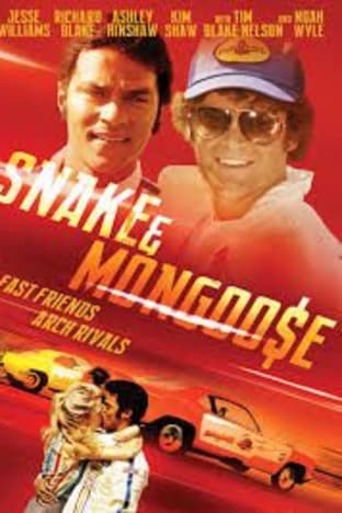 Snake And Mongoose