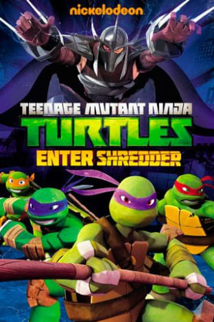 Teenage Mutant Ninja Turtles - Season 10