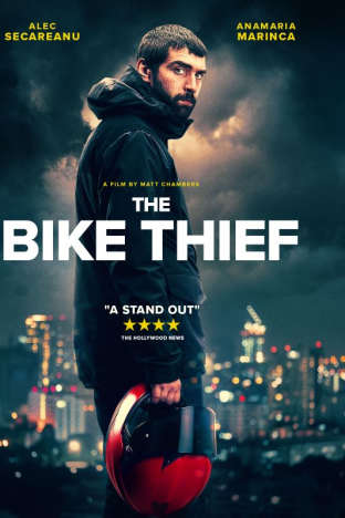 The Bike Thief