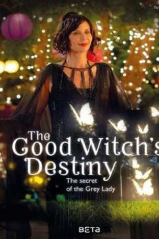 The Good Witch's Destiny