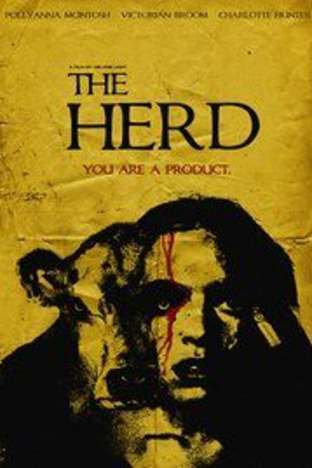 The Herd