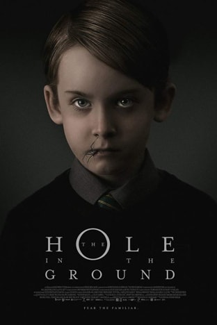 The Hole in the Ground