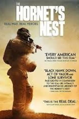 The Hornets Nest