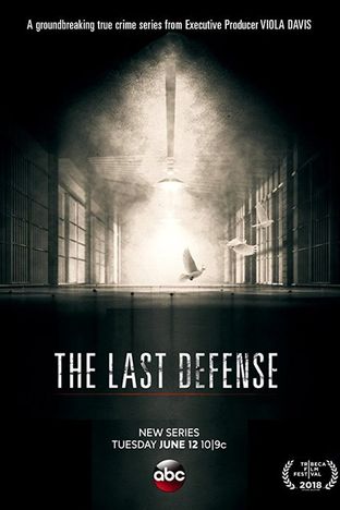The Last Defense - Season 1