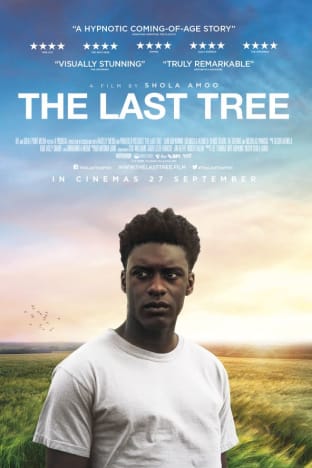 The Last Tree