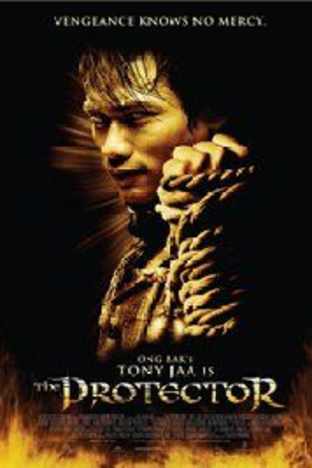 The Protector (2005)