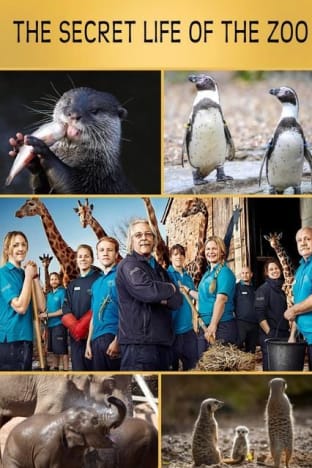 The Secret Life of The Zoo - Season 3