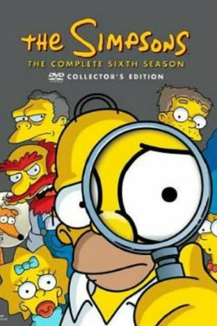 The Simpsons - Season 6