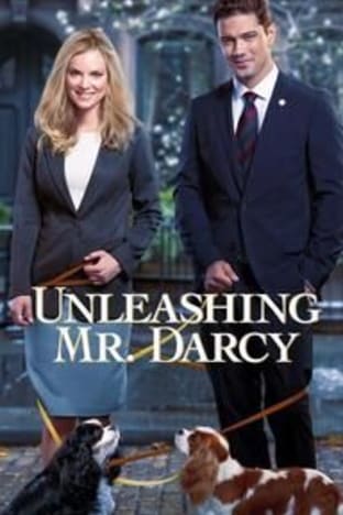 Unleashing Mr Darcy